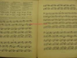 O. Sevcik Meisterwerke für Violine -nuotit