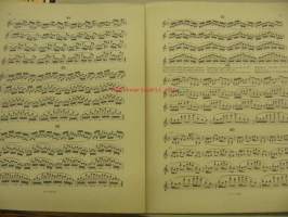 O. Sevcik Meisterwerke für Violine -nuotit
