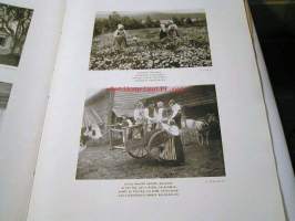 Svenska Bilder