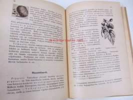 Kasvioppi