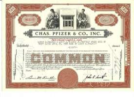 Chas pfizer &amp; co inc  osakekirja  USA 1949