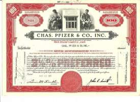 Chas pfizer &amp; co inc  osakekirja  USA 1951