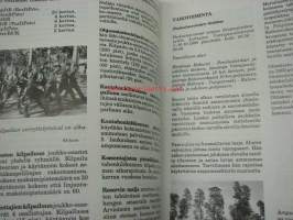 Ilmatorjuntamiehet Lohtajalla 1952-1992