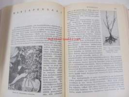 Kodin puutarha