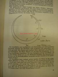 Diebeners Goldschmiede Jahrbuch 1967