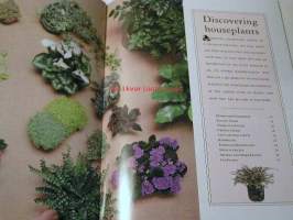 houseplants