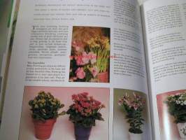 houseplants