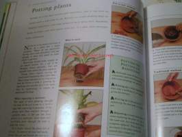 houseplants