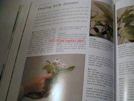houseplants