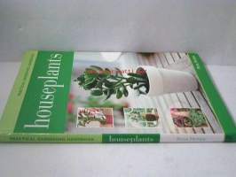 houseplants