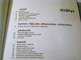 yhteys. ainetta  proosarunoja
