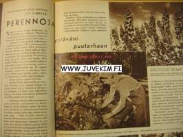 Kotiliesi 1955 nr 9,toukokuu ajankuvaa kesämökki vai auto? tunnettuja naisia: Kersti Vuorjoki, Asko Colette tuolin mainos, äitienpäivälounas,