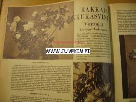 Kotiliesi 1955 nr 11 kesäkuu ajankuvaa, kesämökin pieni puutarha, kamarit kuntoon, rakkain ruukkukasvini voittajat kertovat kukistaan