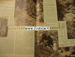 Kotiliesi 1955 nr 11 kesäkuu ajankuvaa, kesämökin pieni puutarha, kamarit kuntoon, rakkain ruukkukasvini voittajat kertovat kukistaan