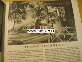 Kotiliesi 1949 nr 20 Lokakuu. Takakannessa värikäs piirretty  Silo -mainos. Piirretty nelivärimainos Fazer -makarooni. Ajankuvaa, mainoksia ja ruokaohjeita