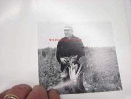 Finska Socker Ab (Suomen Sokeri Oy) årsberättelse 1965 -vuosikertomus