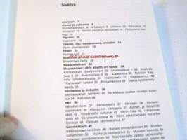 Öljyvärimaalauksen opas