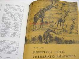 Talvikukkia - Evankelinen Joululehti 1971