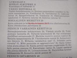 Koiranpennun  kasvatus