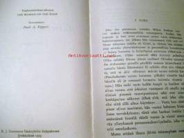 Nainen katolla   salamasarja