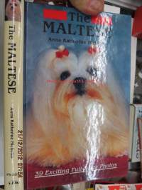 The Maltese -maltankoirat