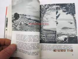Valota oikein Foto-sarja nr 1.