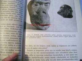 Psykologia