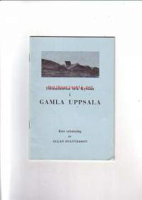 Fornminnena och kyrkan i gamla Uppsala