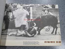 Toros - vision grafica de la fiesta nacional Espana - Taureaux - The Bull-fight - Der Stierkampf -ihailevaan sävyyn kirjoitettu opas espanjalaisten