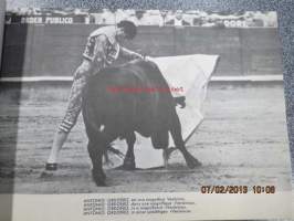 Toros - vision grafica de la fiesta nacional Espana - Taureaux - The Bull-fight - Der Stierkampf -ihailevaan sävyyn kirjoitettu opas espanjalaisten