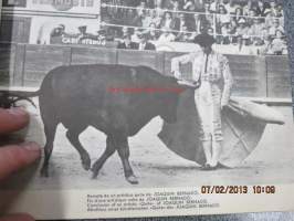 Toros - vision grafica de la fiesta nacional Espana - Taureaux - The Bull-fight - Der Stierkampf -ihailevaan sävyyn kirjoitettu opas espanjalaisten