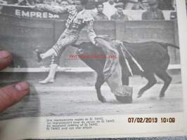 Toros - vision grafica de la fiesta nacional Espana - Taureaux - The Bull-fight - Der Stierkampf -ihailevaan sävyyn kirjoitettu opas espanjalaisten