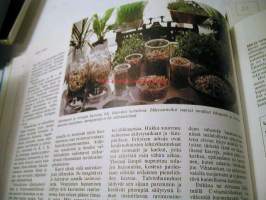 Luonnollinen tie terveyteen(Voi hyvin,nauti elämästä)