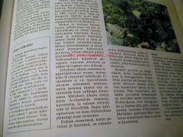 Luonnollinen tie terveyteen(Voi hyvin,nauti elämästä)