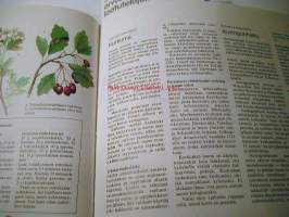 Luonnollinen tie terveyteen(Voi hyvin,nauti elämästä)