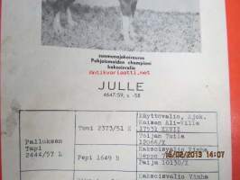 Ajokoiramies 1964 nr 6 -tulosluettelo- ja arvostelunumero