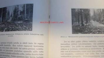 Puutavaran autokuljetuksesta