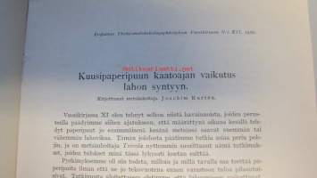 Kuusipaperipuun kaatoajan vaikutus lahon syntyyn