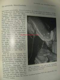 Forellenzucht. Taimenenkasvatus