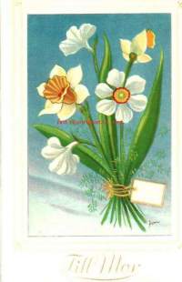 Äitienpäiväkortti-  onnittelukortti, taittokortti, postikortti, taiteilijakortti  Orvo Sundelin , blanko