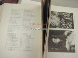 Konst historia