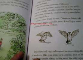 paluu puolen hehtaarin puistoon