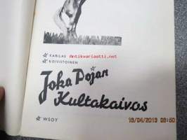 Joka Pojan kultakaivos