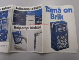 Tämä on Brik