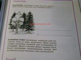 nappi 6 tekstiilityö  kaavat puuttuu