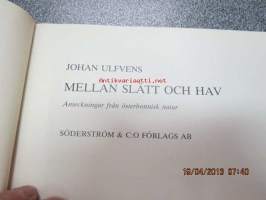 Mellan slätt och hav