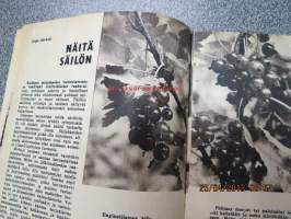 Kotikokki 1965 nr 6