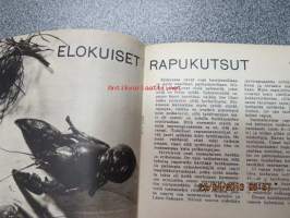 Kotikokki 1965 nr 6