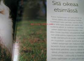 koko perheen koira