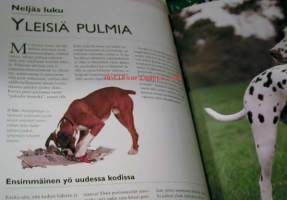 koko perheen koira